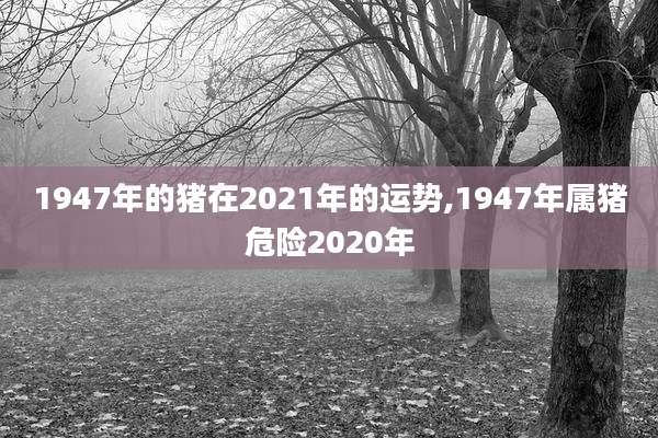 1947年的猪在2021年的运势,1947年属猪危险2020年