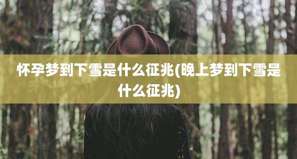 怀孕梦到下雪是什么征兆(晚上梦到下雪是什么征兆)