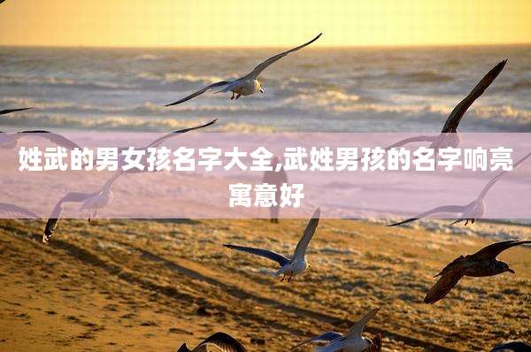 姓武的男女孩名字大全,武姓男孩的名字响亮寓意好