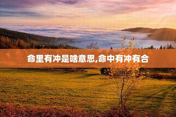 命里有冲是啥意思,命中有冲有合
