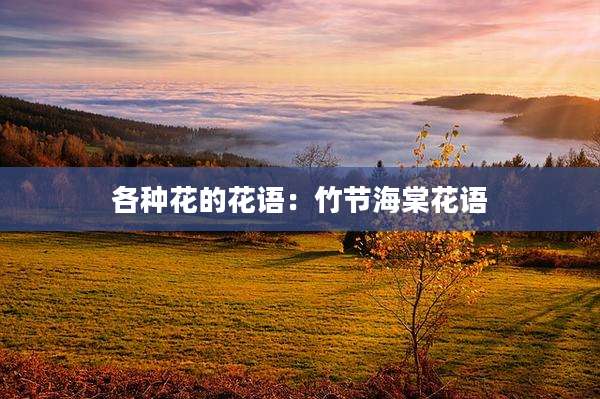 各种花的花语:竹节海棠花语