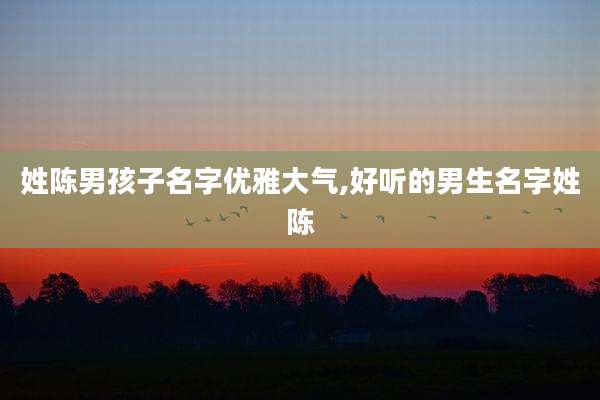 姓陈男孩子名字优雅大气,好听的男生名字姓陈