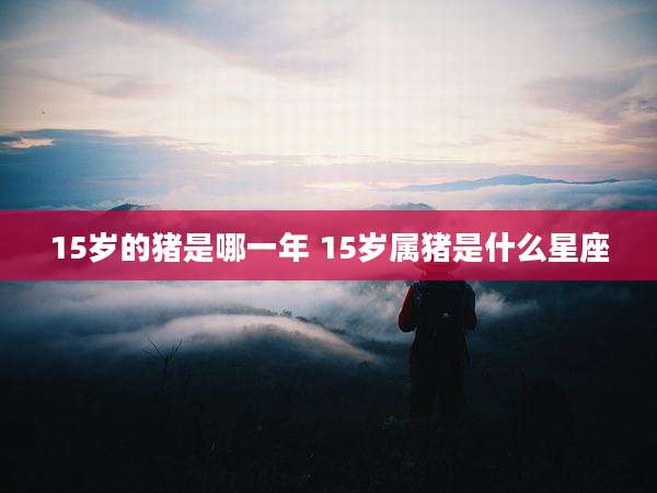 15岁的猪是哪一年 15岁属猪是什么星座