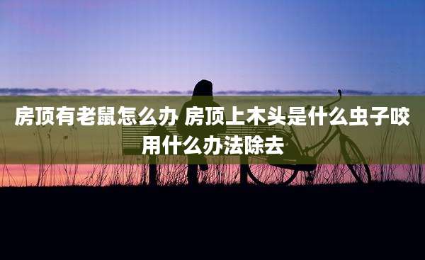 房顶有老鼠怎么办 房顶上木头是什么虫子咬用什么办法除去