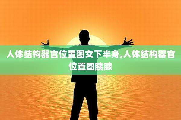 人体结构器官位置图女下半身,人体结构器官位置图胰腺