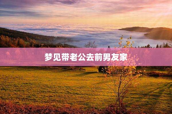 梦见带老公去前男友家