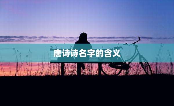 唐诗诗名字的含义