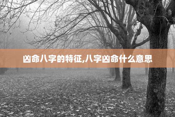 凶命八字的特征,八字凶命什么意思