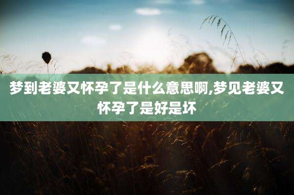 梦到老婆又怀孕了是什么意思啊,梦见老婆又怀孕了是好是坏