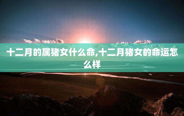 十二月的属猪女什么命,十二月猪女的命运怎么样