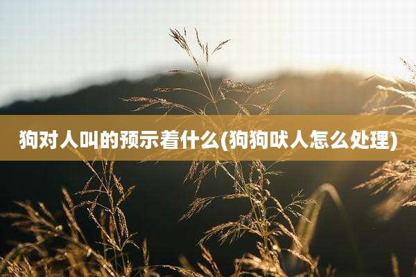 狗对人叫的预示着什么(狗狗吠人怎么处理)
