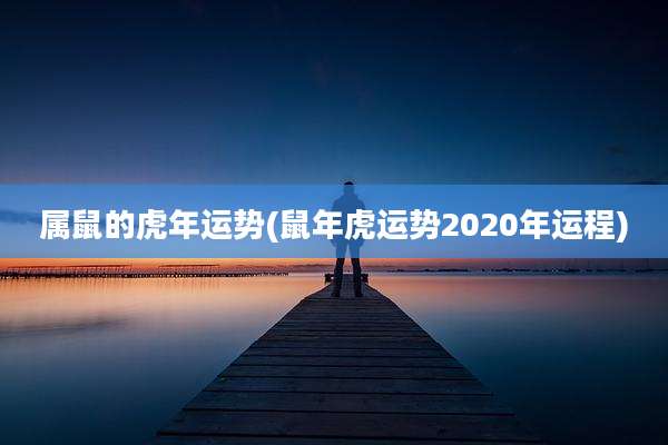 属鼠的虎年运势(鼠年虎运势2020年运程)