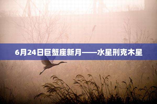 6月24日巨蟹座新月——水星刑克木星
