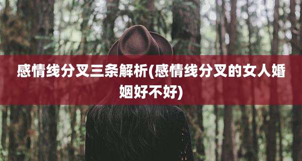 感情线分叉三条解析(感情线分叉的女人婚姻好不好)