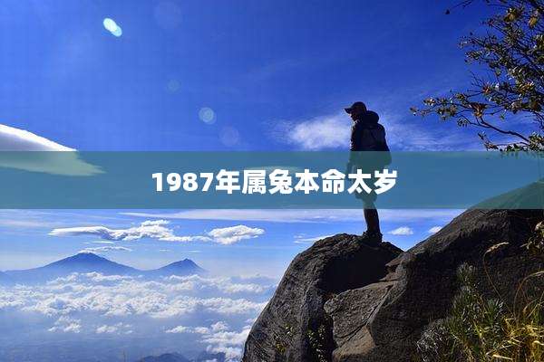 1987年属兔本命太岁