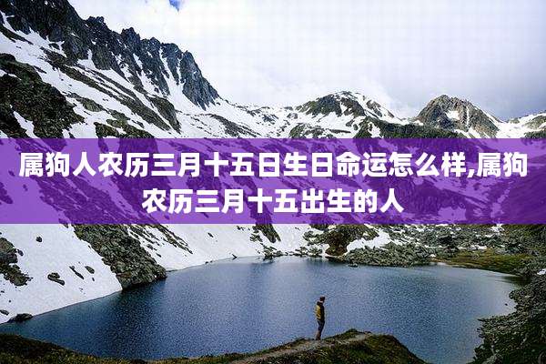 属狗人农历三月十五日生日命运怎么样,属狗农历三月十五出生的人