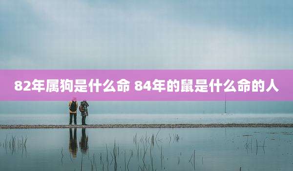82年属狗是什么命 84年的鼠是什么命的人