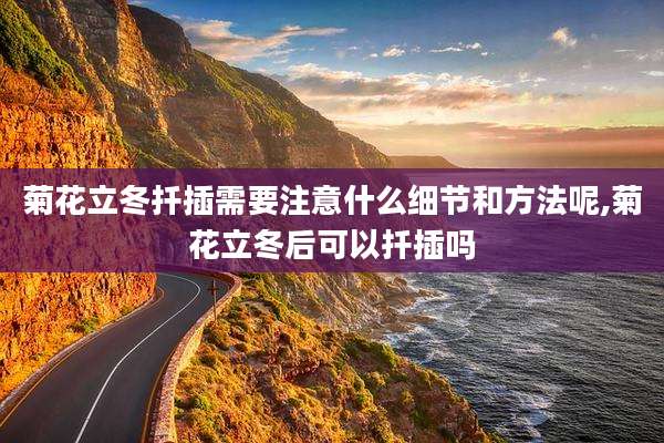 菊花立冬扦插需要注意什么细节和方法呢,菊花立冬后可以扦插吗