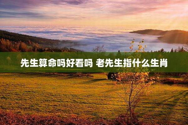 先生算命吗好看吗 老先生指什么生肖