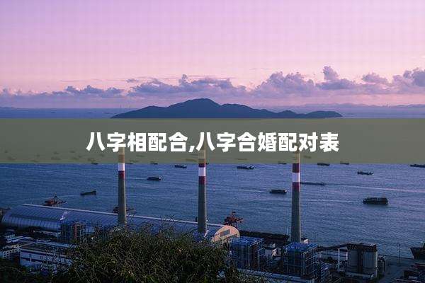 八字相配合,八字合婚配对表