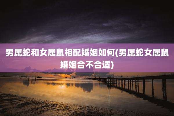 男属蛇和女属鼠相配婚姻如何(男属蛇女属鼠婚姻合不合适)