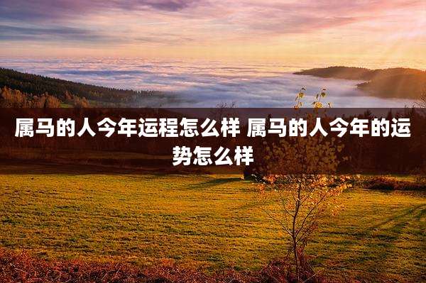 属马的人今年运程怎么样 属马的人今年的运势怎么样