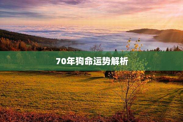 70年狗命运势解析