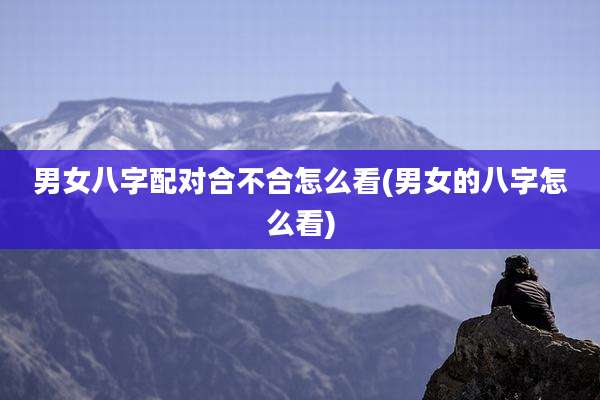 男女八字配对合不合怎么看(男女的八字怎么看)