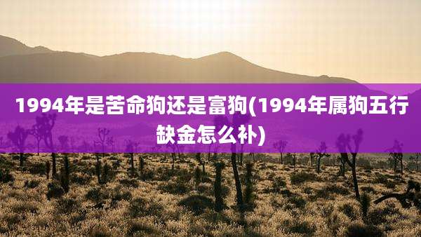 1994年是苦命狗还是富狗(1994年属狗五行缺金怎么补)