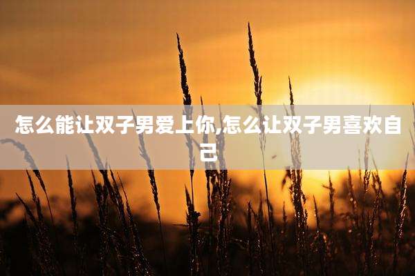 怎么能让双子男爱上你,怎么让双子男喜欢自己