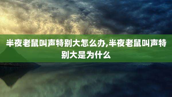 半夜老鼠叫声特别大怎么办,半夜老鼠叫声特别大是为什么