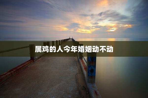 属鸡的人今年婚姻动不动