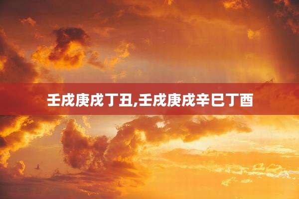 壬戌庚戌丁丑,壬戌庚戌辛巳丁酉