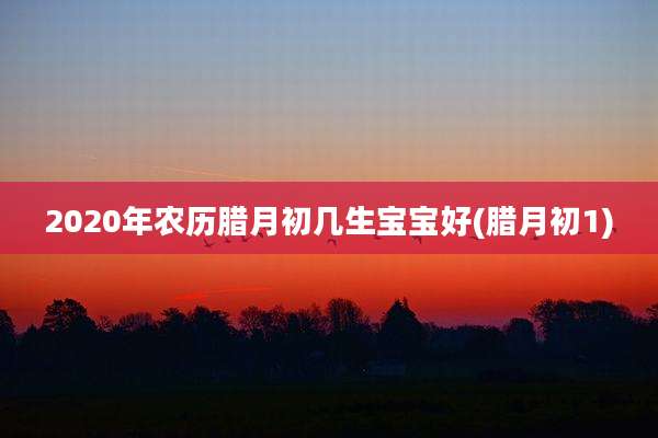 2020年农历腊月初几生宝宝好(腊月初1)