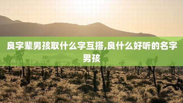 良字辈男孩取什么字互搭,良什么好听的名字男孩