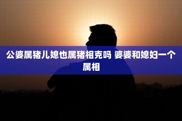 公婆属猪儿媳也属猪相克吗 婆婆和媳妇一个属相