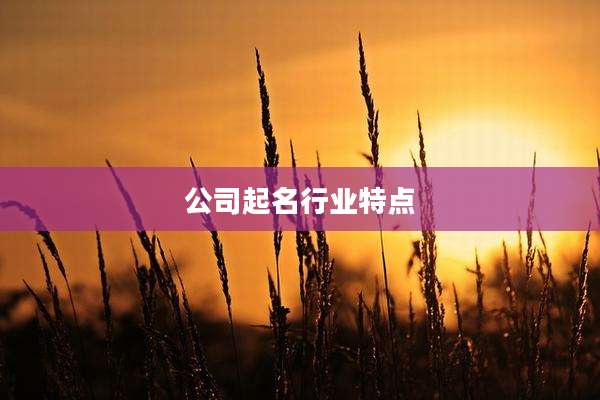 公司起名行业特点