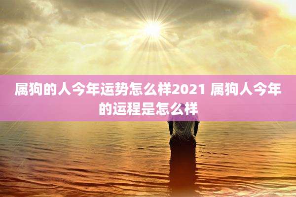 属狗的人今年运势怎么样2021 属狗人今年的运程是怎么样