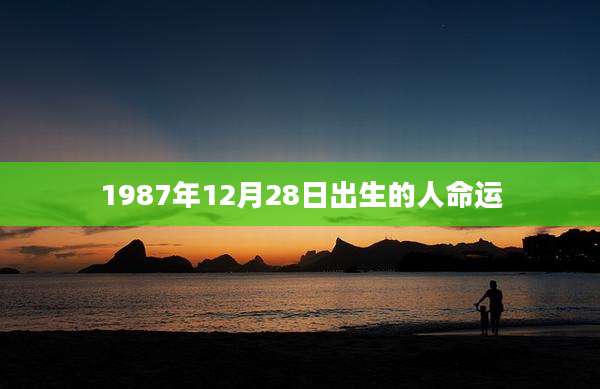 1987年12月28日出生的人命运