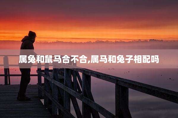 属兔和鼠马合不合,属马和兔子相配吗