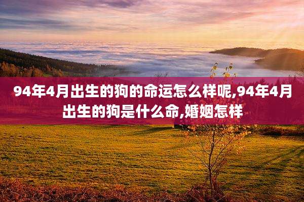 94年4月出生的狗的命运怎么样呢,94年4月出生的狗是什么命,婚姻怎样