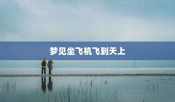 梦见坐飞机飞到天上