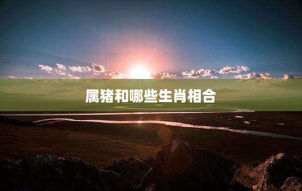 属猪和哪些生肖相合