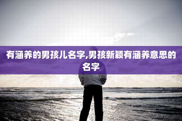 有涵养的男孩儿名字,男孩新颖有涵养意思的名字