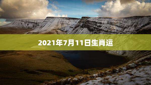 2021年7月11日生肖运