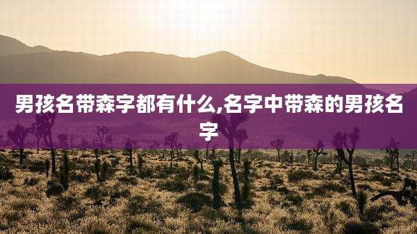 男孩名带森字都有什么,名字中带森的男孩名字