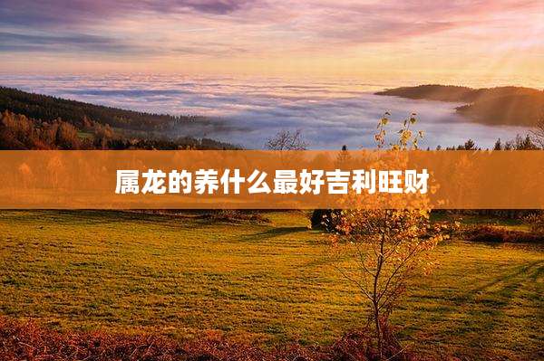 属龙的养什么最好吉利旺财