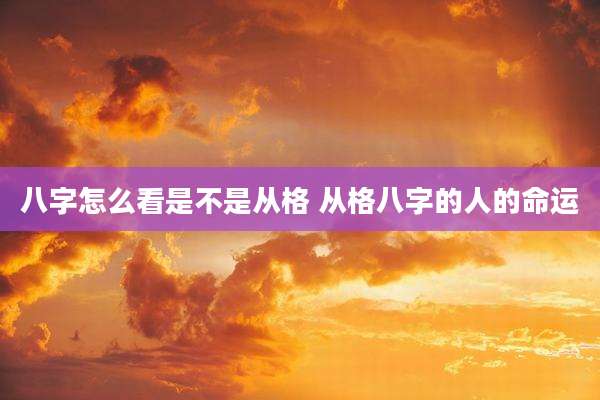 八字怎么看是不是从格 从格八字的人的命运