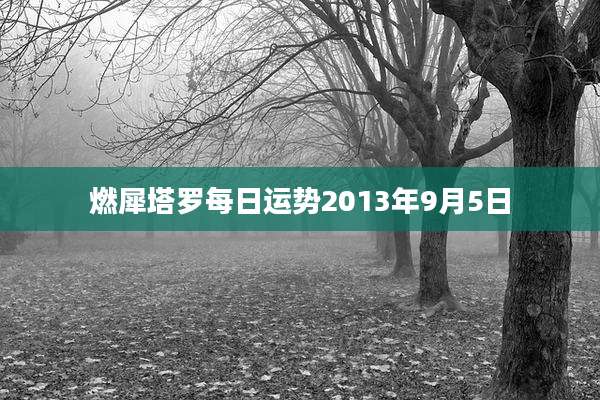 燃犀塔罗每日运势2013年9月5日