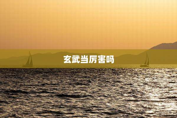 玄武当厉害吗